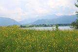IMG 0918