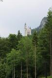 IMG 0924