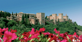 xalhambra.jp