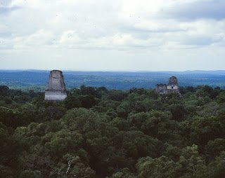 Tikal 2