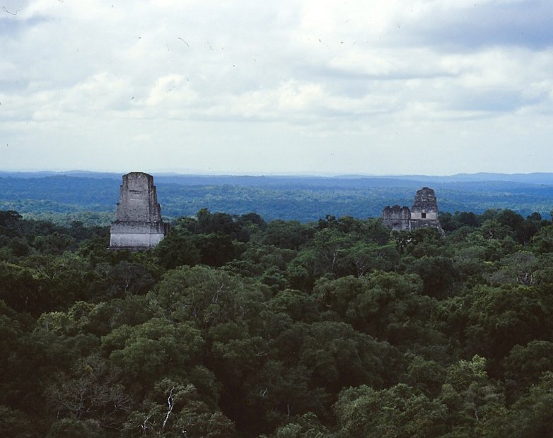 Tikal3