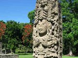 Copan-stela.jpg
