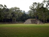 honcopan2.jpg