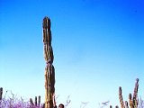 IMG_0012.jpeg