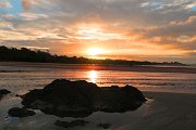 IMG_1829.jpg