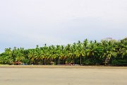 IMG_1830.jpg