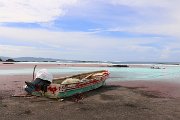 IMG_1837.jpg