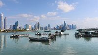 Particolare Panama copia.jpg