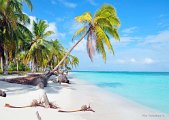 panama isla perle.jpg
