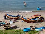 IMG_2315.jpg