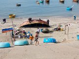 IMG_2324.jpg