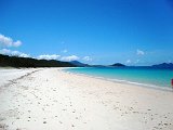 IMG_1001.jpg