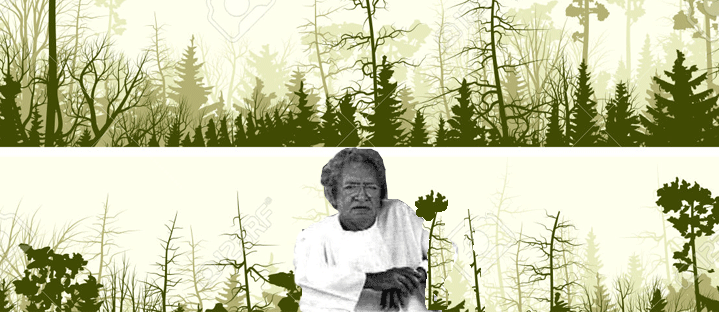 bannerforesta