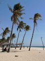 Salalah spiaggia