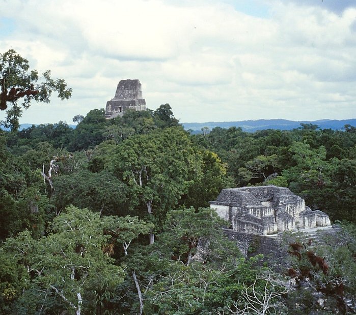 Tikal5